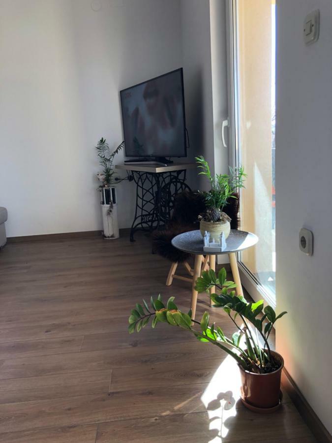 Apartment Viveniti Klenovica Zewnętrze zdjęcie